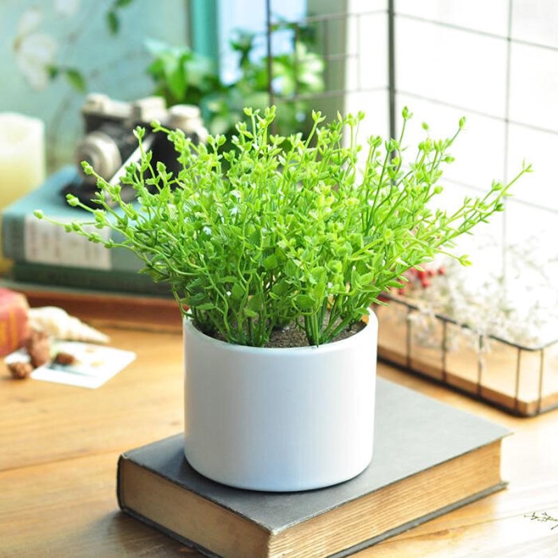 鲜花花束：现代审美与情感表达的新宠